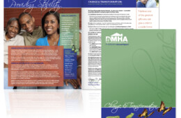 DMHA Annual Report
