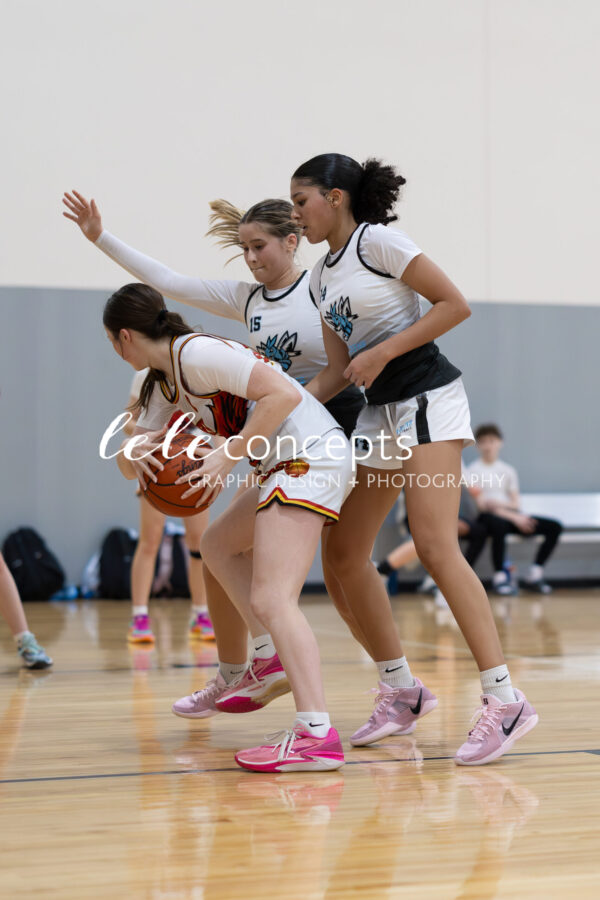 Queens2_041325_3555